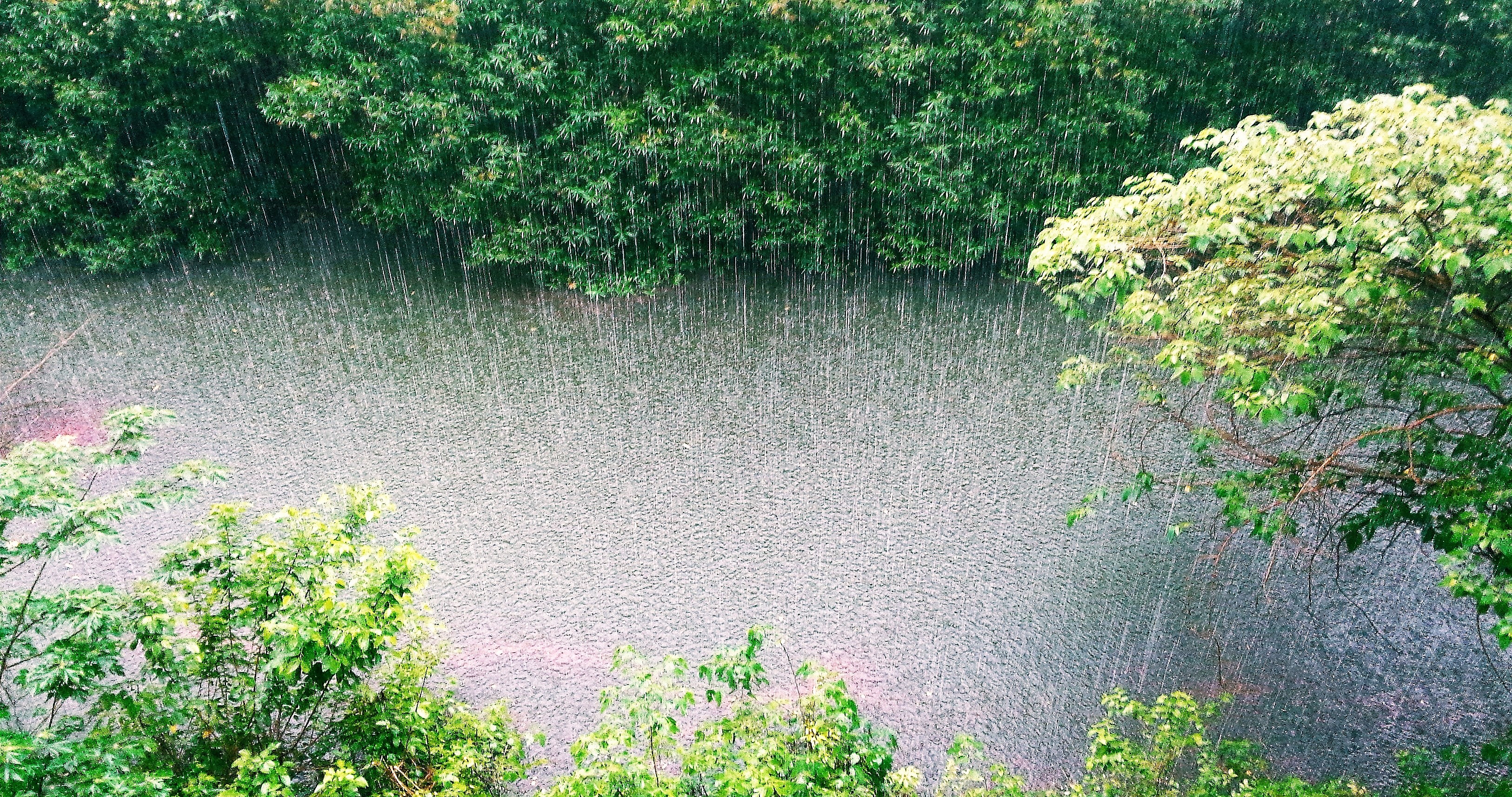 Неприятная погода. Ливень. Сильный дождь. Косой дождь. Ливень фото.