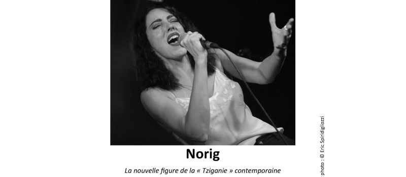 Deux concerts  en avant-première de Welcome in Tziganie 