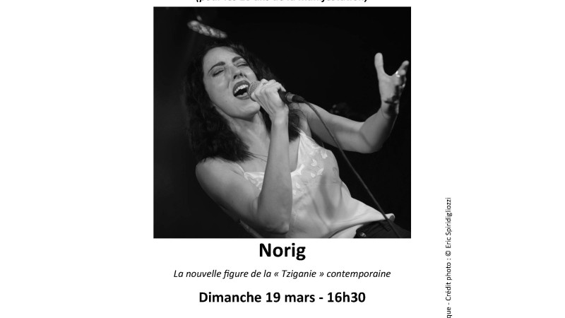 Deux concerts  en avant-première de Welcome in Tziganie 