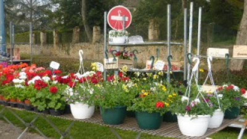 Tillac :  les Floralies