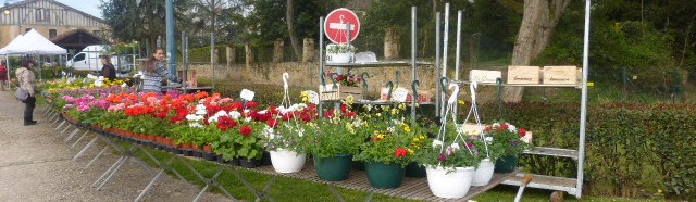 le village en fleurs