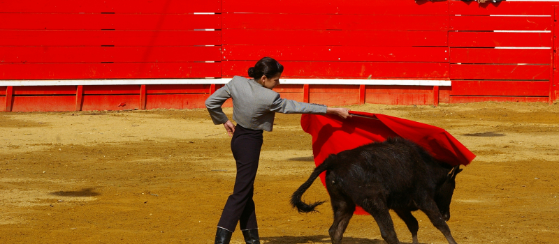 Echos de la Peña Vivement Cinq Heures 