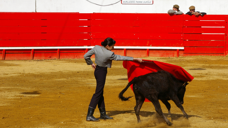 Echos de la Peña Vivement Cinq Heures 