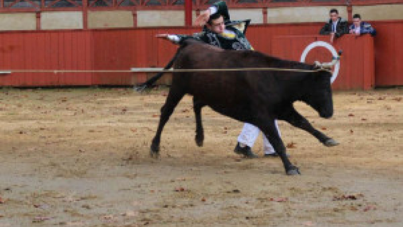 Estang : Course landaise de promotion