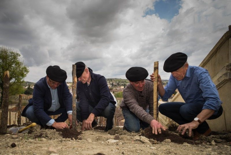 Michel Baylac, vice-président de l’agglomération Grand Auch Coeur de Gascogne, Franck Montaugé, sénateur-maire d’Auch, Christophe Dormal, vigneron de Plaimont Producteurs, et Christian Laprébende, premier adjoint 