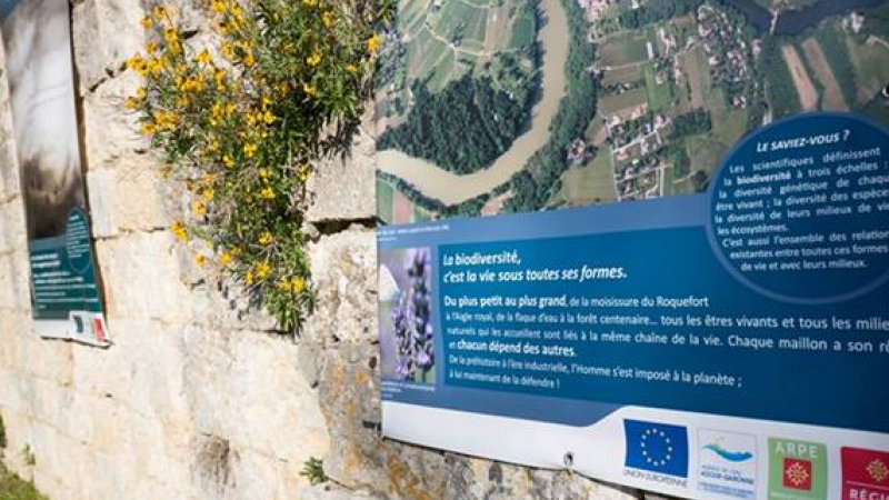 SAINT CLAR  -  Exposition « La biodiversité en Midi Pyrénées un autre regard » 
