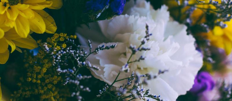 Crastes - Marché aux fleurs
