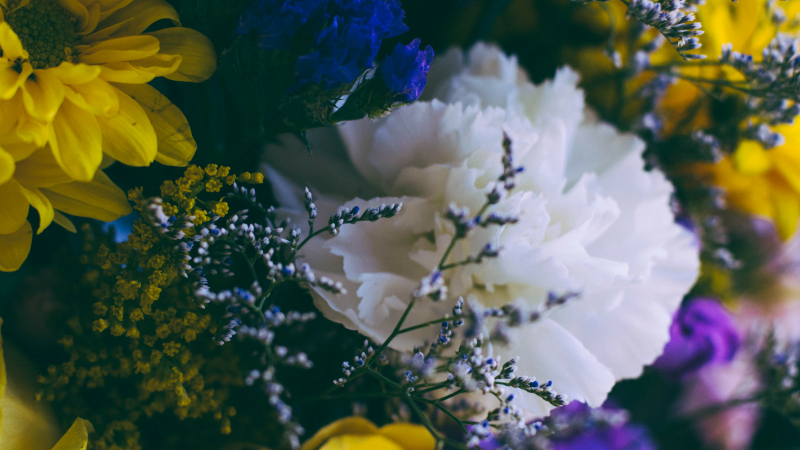 Crastes - Marché aux fleurs
