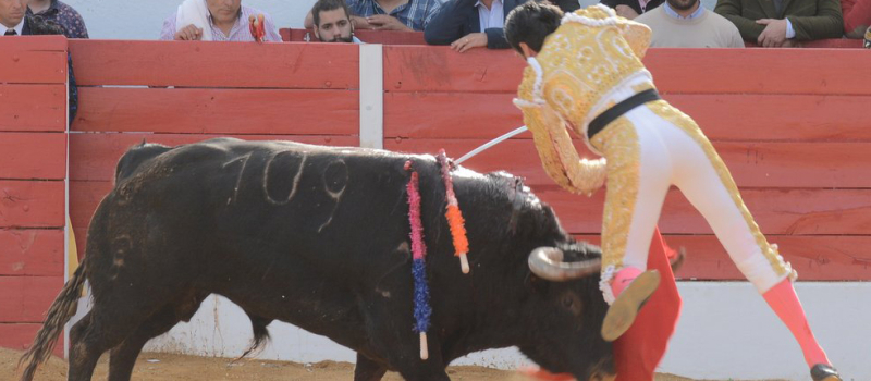 Corrida d'Aignan