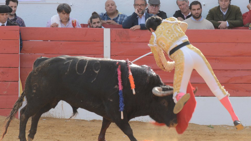 Corrida d'Aignan