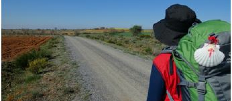 MONFERRAND SAVES Le chemin de St Jacques protégé