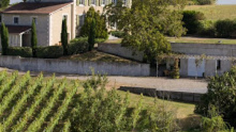 Atelier d'assemblage de vins au domaine