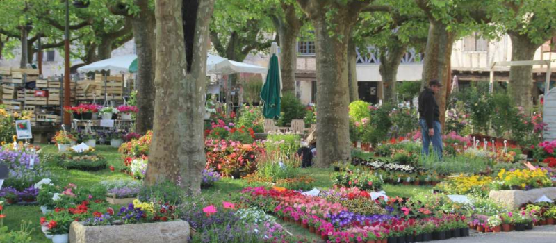 Fourcès : Le 42 ème marché aux fleurs s'est épanoui