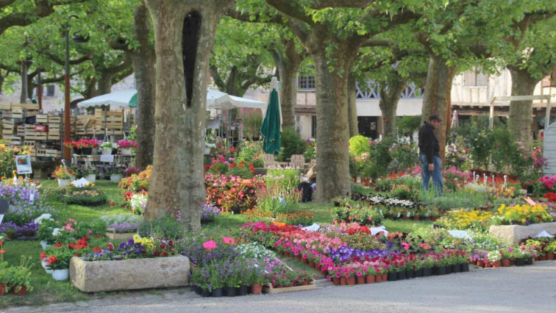 Fourcès : Le 42 ème marché aux fleurs s'est épanoui