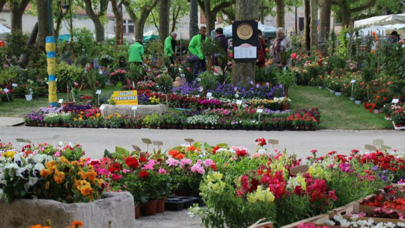 Fourcès : Plantes et rugby une union réussie