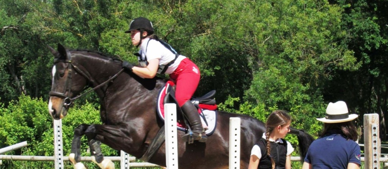 Des lauriers pour les cavaliers du centre équestre vicois lors du concours complet à Preignan
