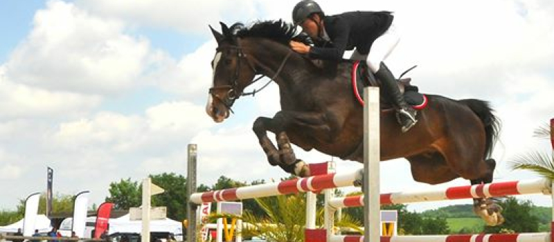 Saint Michel  Jump'in Gers aux écuries du Manaou