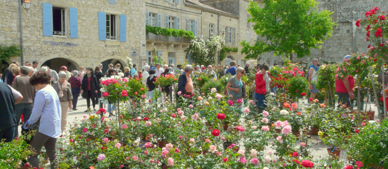 La Romieu: Marché au rosiers.