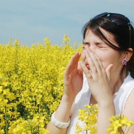 allergies-pollens.jpg