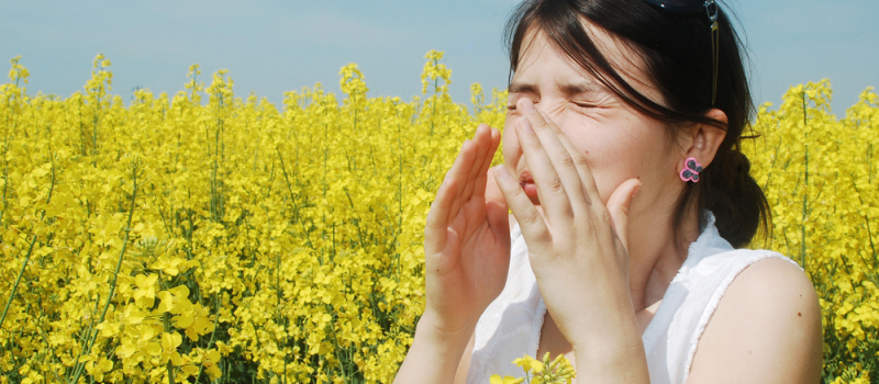 Bonjour les allergies 