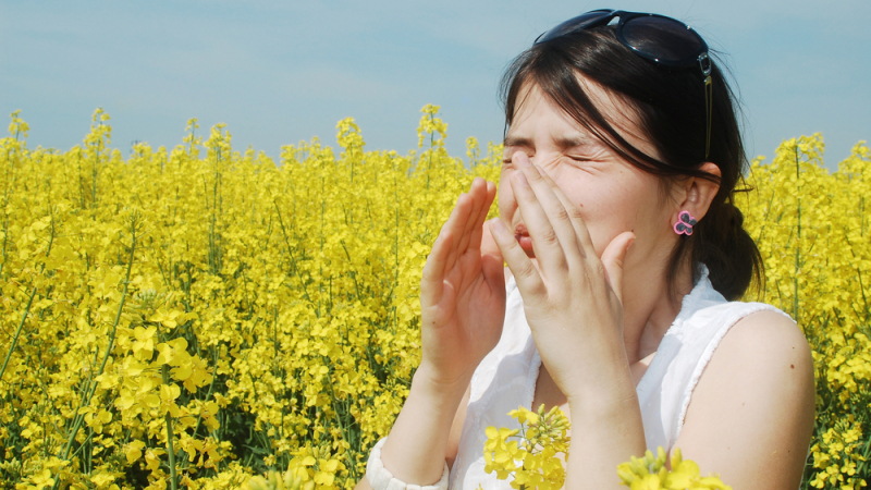 Bonjour les allergies 
