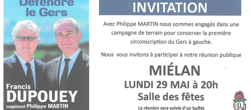 Miélan, élections législatives