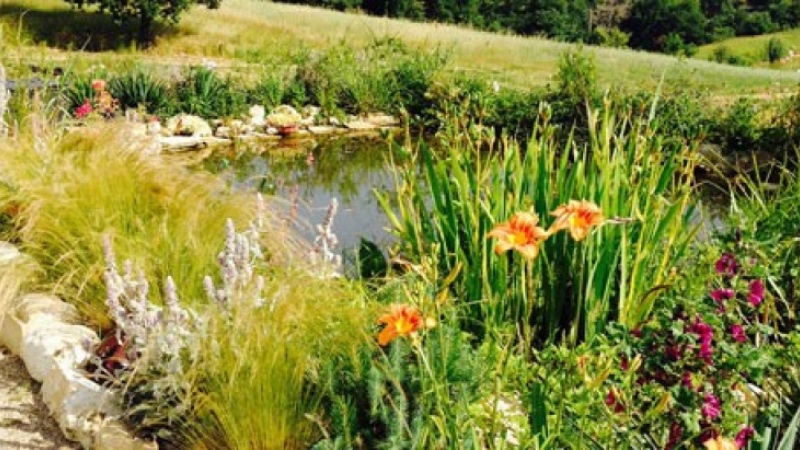 Bienvenue dans mon jardin au naturel 