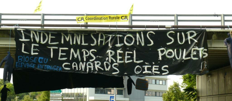 La Coordination Rurale et les Canards en colère bloquent la rocade d'Auch
