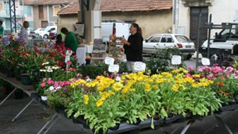 Miélan. Concours Maisons fleuries