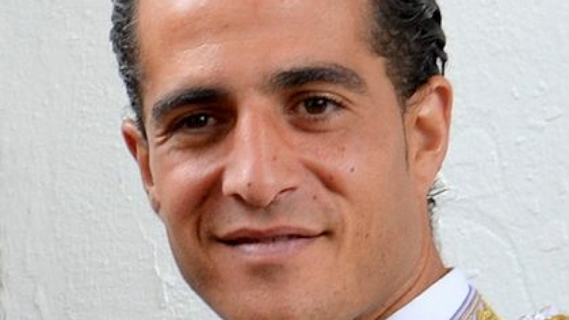Le matador Ivan Fandiño a trouvé la mort dans les arènes d'Aire sur Adour 