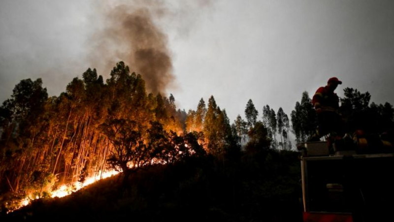 Incendie au Portugal 