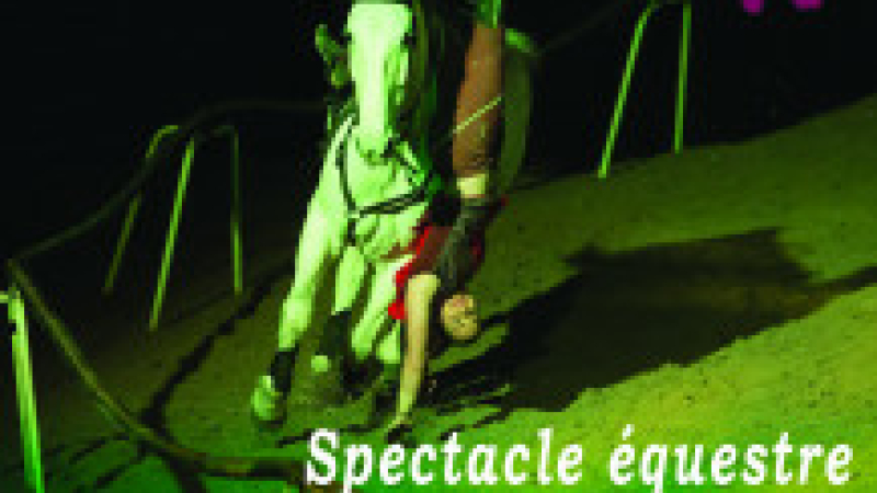 Cazaubon : Spectale équestre Alarida