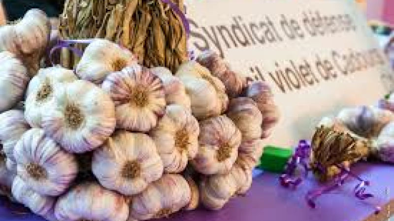 L' Ail violet de Cadours classé en AOP