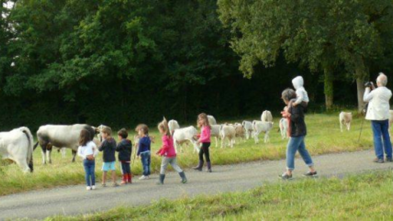Castin : Des enfants de la maternelle de la Calandreta de Bocòna ont visité la ferme de Pierrette et Robert Luche