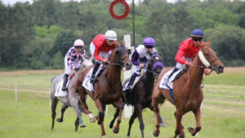 Cazaubon : Courses de chevaux