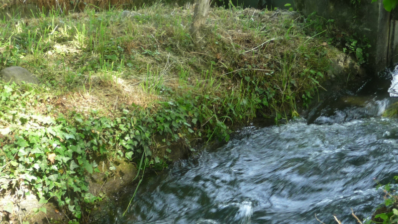 Gestion des étiages 