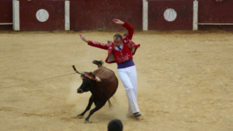 Cazaubon : Gascogne tradition
