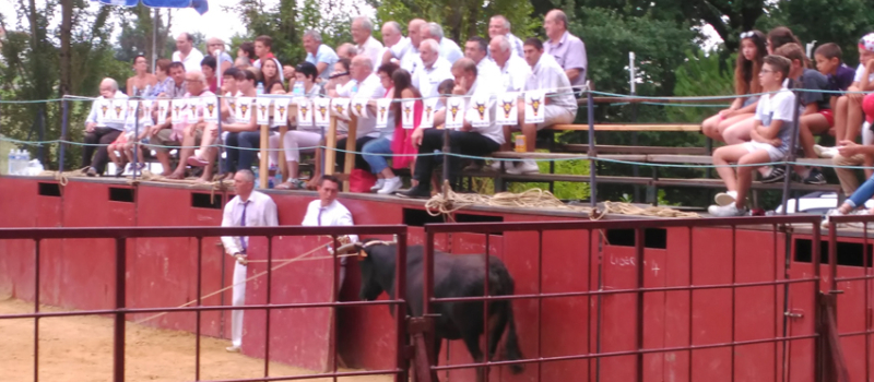 Vergoignan :  ce week end ,c'était la fête 