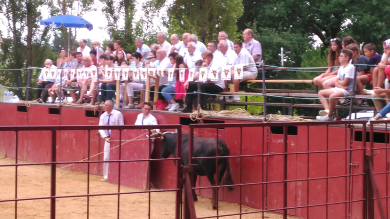 Vergoignan :  ce week end ,c'était la fête 