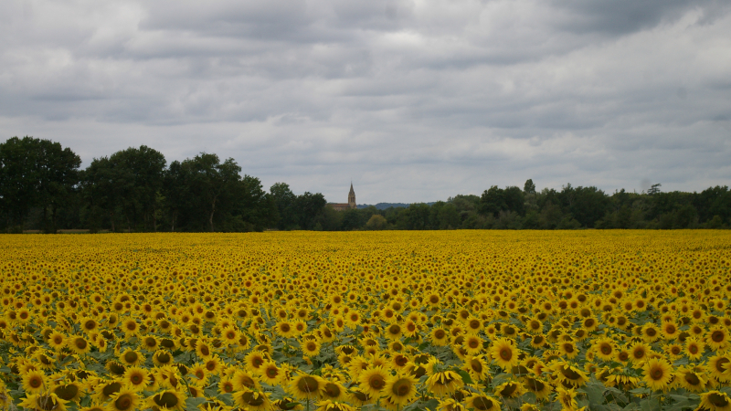 Une belle image éphémère dan la ruralité