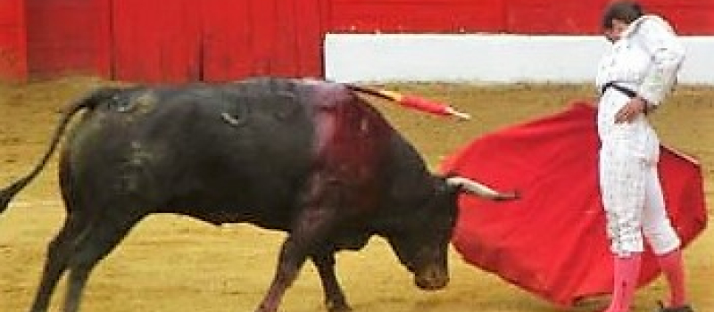 Novillada de Riscle