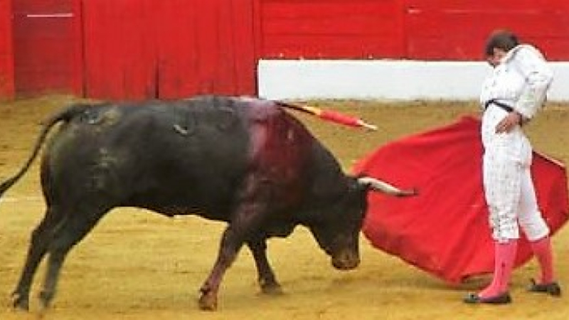 Novillada de Riscle