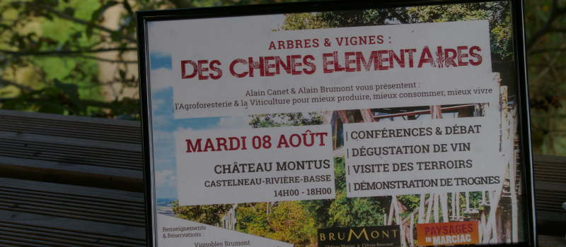 Arbres et Vignes "Des chênes élémentaires"  Conférence à Montus