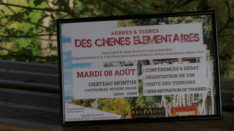 Arbres et Vignes "Des chênes élémentaires"  Conférence à Montus