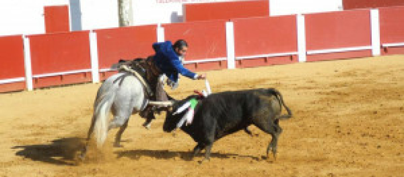 Cazaubon :  La Corrida portugaise animera les arènes 