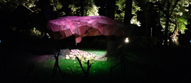 Pavie : Stage Artistique