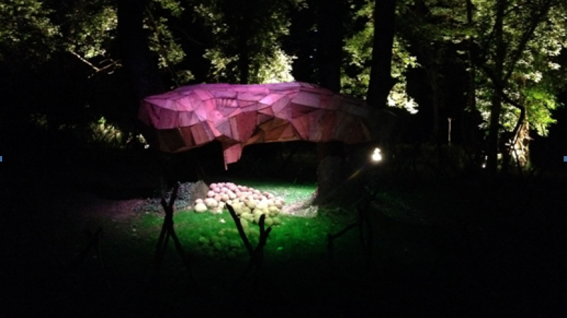 Pavie : Stage Artistique