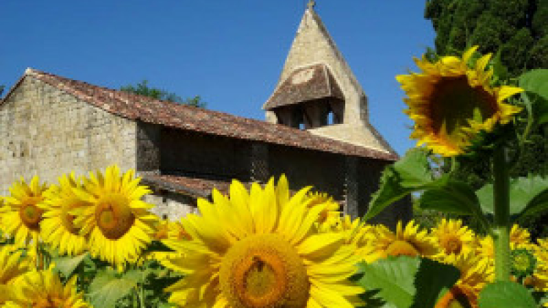 Fourcès : Concerts et conférences