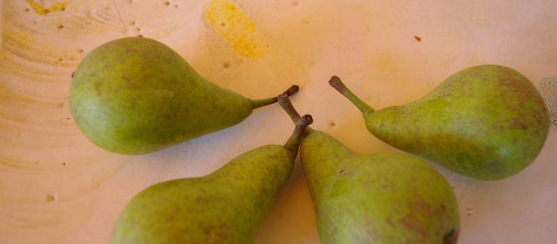 Des fruits anciens de retour 