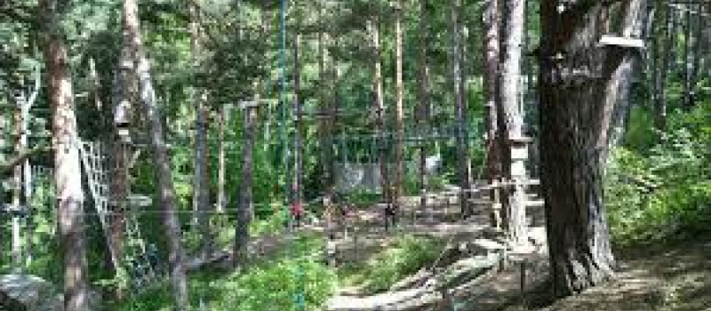 Un enfant grièvement blessé dans le parc d'accrobranche